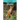 Dholes