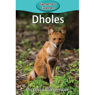 Dholes