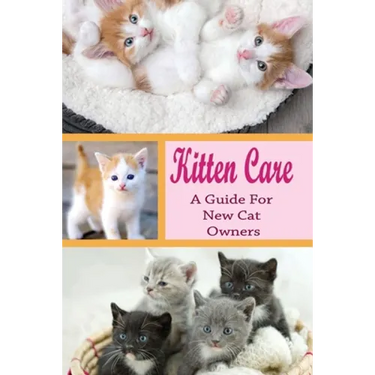 Kitten Care: A Guide for New Cat Owners: How Do You Take Care Of A Kitten For Beginners?