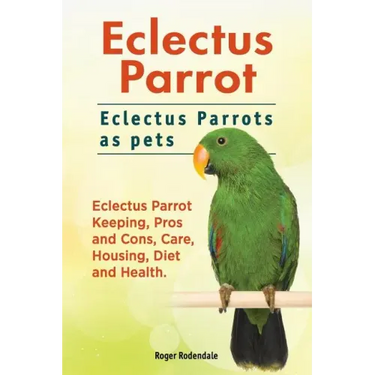 Eclectus Parrot. Eclectus Parrots as pets. Eclectus Parrot Keeping, Pros and Cons, Care, Housing, Diet and Health.