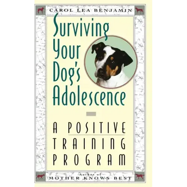 Surviving Your Dog's Adolescence: A Positive Training Program