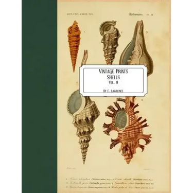 Vintage Prints: Shells: Vol. 9
