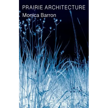 Prairie Architecture
