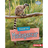 Travel to Madagascar