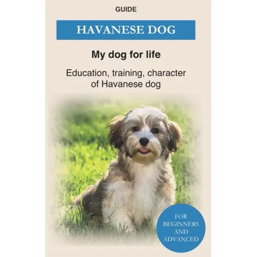 Havanese Dog: Education, training, character of Havanese Dogs - The Havanese Book
