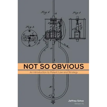 Not So Obvious: An Introduction to Patent Law and Strategy