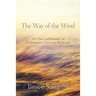 The Way of the Wind: The Path and Practice of Evolutionary Christian Mysticism