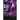 Order of the Seers: The Last Seer