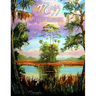 Mazz: Florida Dreamscapes