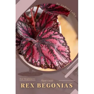 Rex Begonias: Plant Guide
