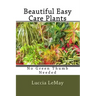 Beautiful Easy Care Plants: No Green Thumb Needed