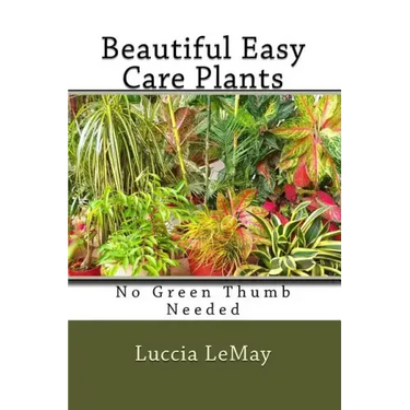 Beautiful Easy Care Plants: No Green Thumb Needed