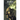 Automata