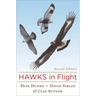 Hawks in Flight