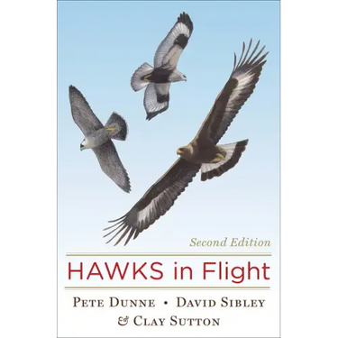 Hawks in Flight