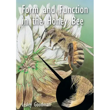 Form and Function in the Honey Bee