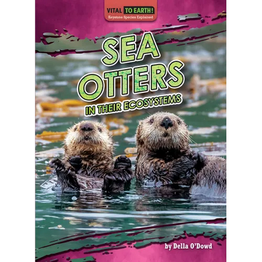 Sea Otters in Their Ecosystems