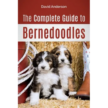 The Complete Guide to Bernedoodles: Everything you need to know to successfully raise your Bernedoodle puppy!