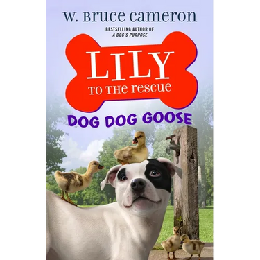 Lily to the Rescue: Dog Dog Goose