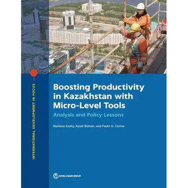 Boosting Productivity in Kazakhstan with Micro-Level Tools: Analysis and Policy Lessons