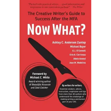 Now What?: The Creative Writer's Guide to Success After the MFA