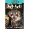 Aye-Ayes