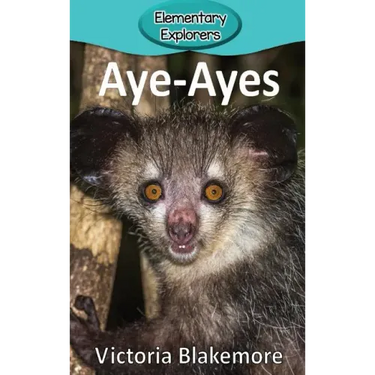 Aye-Ayes