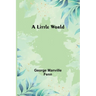 A Little World