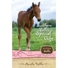 Southern Belle's Special Gift: 3
