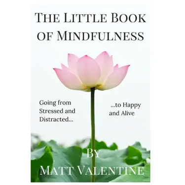 The Little Book of Mindfulness