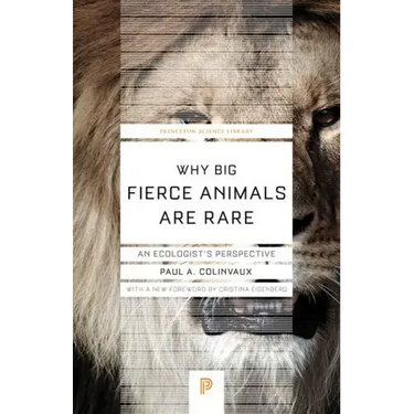 Why Big Fierce Animals Are Rare: An Ecologist's Perspective