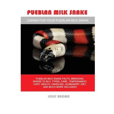 Pueblan Milk Snake: Pueblan Milk Snake facts, breeding, where to buy, types, care, temperament, cost, health, handling, husbandry, diet, a