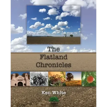 The Flatland Chronicles