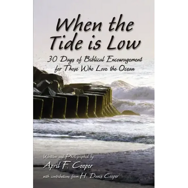 When the Tide is Low Softcover