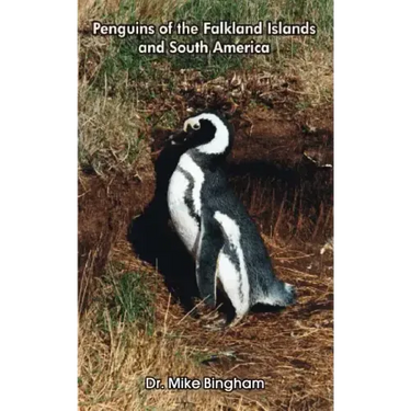 Penguins of the Falkland Islands and South America