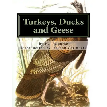 Turkeys, Ducks and Geese: Breeding, Hatching and Rearing For Pleasure or Profit