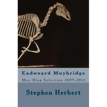 Muy Blog: Eadweard Muybridge Selection 2009-2012