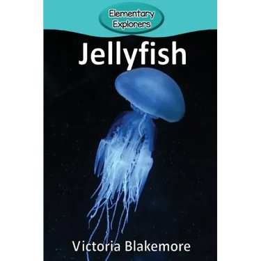 Jellyfish