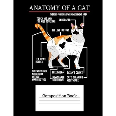 Anatomy of a Cat