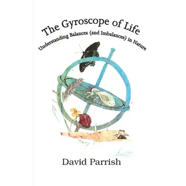The Gyroscope of Life: Understanding Balances (and Imbalances) in Nature