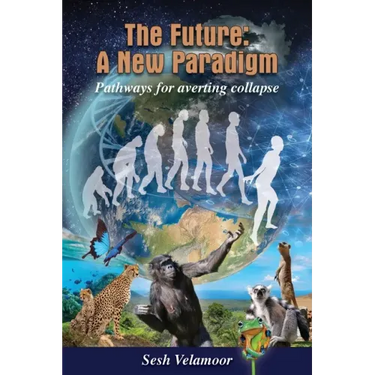 The Future: A New Paradigm - Pathways for Averting Collapse