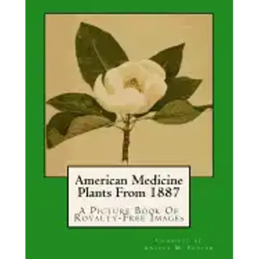 American Medicine Plants From 1887: A Picture Book Of Royalty-Free Images