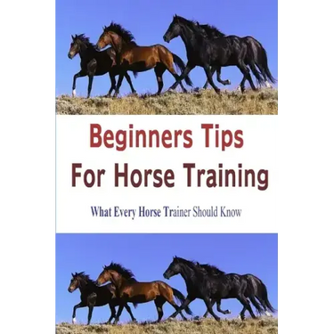 Beginners Tips for Horse Training