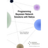Programming Bayesian Network Solutions with Netica