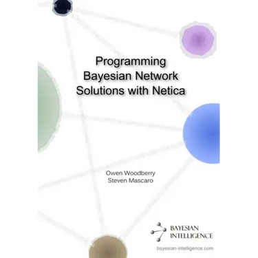 Programming Bayesian Network Solutions with Netica