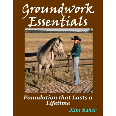 Groundwork Essentials: Foundation that Lasts a Lifetime