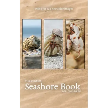 The Burgess Seashore Book with new color images