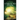 Tales from the Unbound Path