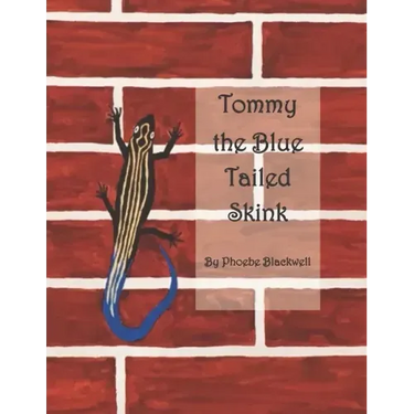 Tommy the Blue Tailed Skink