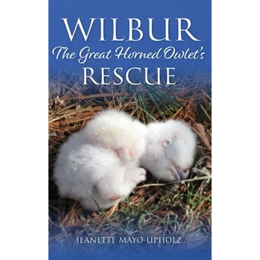 Wilbur: The Great Horned Owlet's Rescue